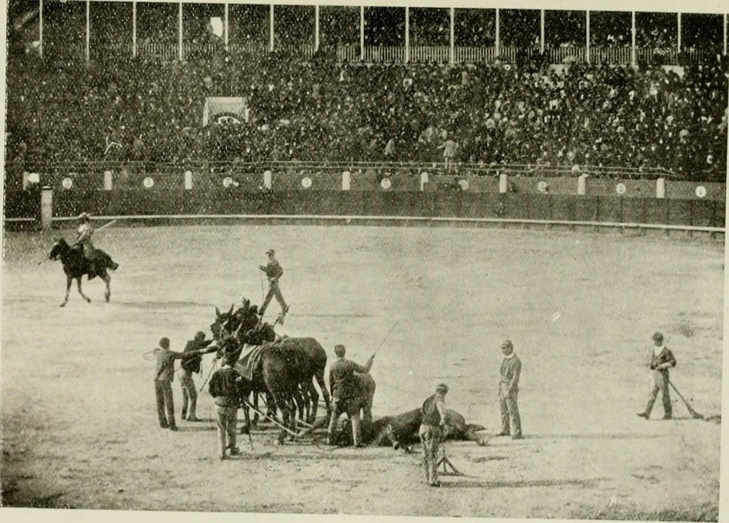 An illustration from Madrid : an historical description and handbook of the Spanish Capital, 1909, leaf 640