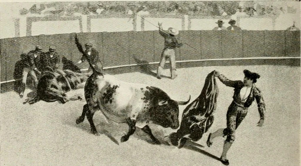 An illustration from Madrid : an historical description and handbook of the Spanish Capital, 1909, leaf 643