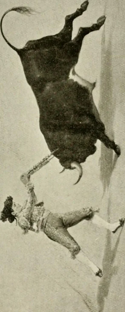 An illustration from Madrid : an historical description and handbook of the Spanish Capital, 1909, leaf 648