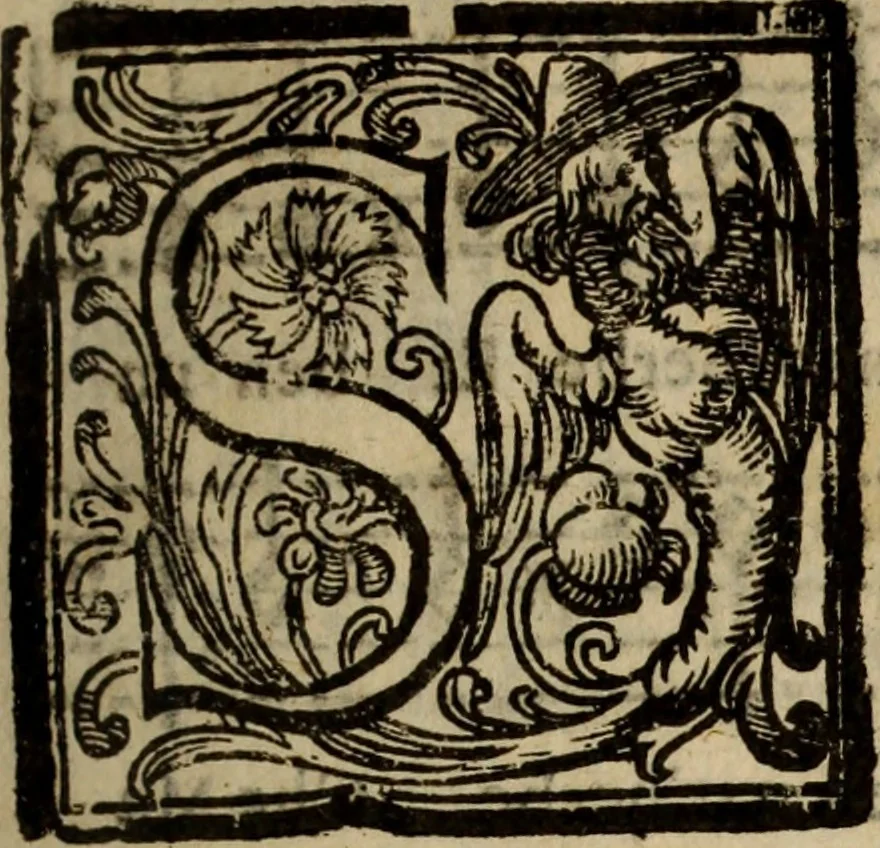 An illustration from Madrigali ... a cinqve voci. Libro primo[-sesto] .., 1611, leaf 236