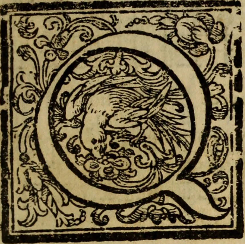 An illustration from Madrigali ... a cinqve voci. Libro primo[-sesto] .., 1611, leaf 26