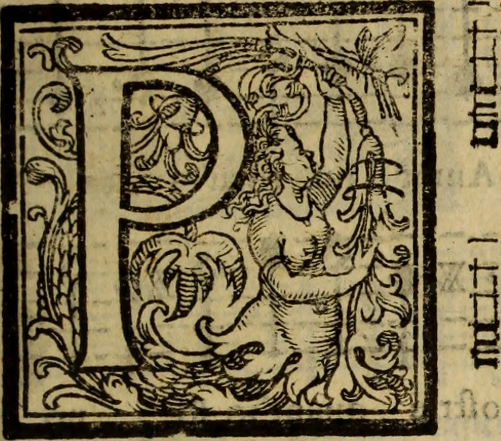 An illustration from Madrigali ... a cinqve voci. Libro primo[-sesto] .., 1611, leaf 272