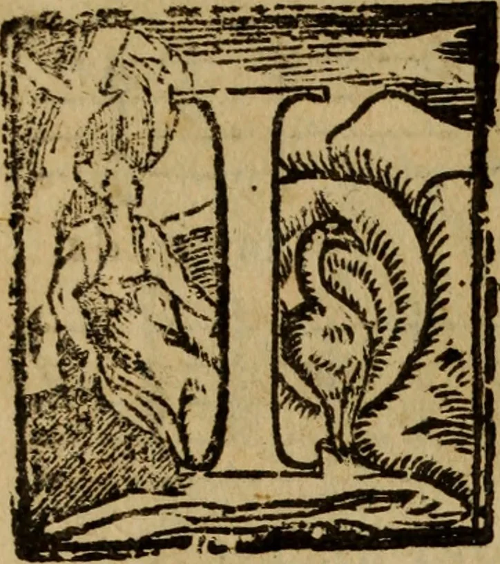An illustration from Madrigali ... a cinqve voci. Libro primo[-sesto] .., 1611, leaf 283