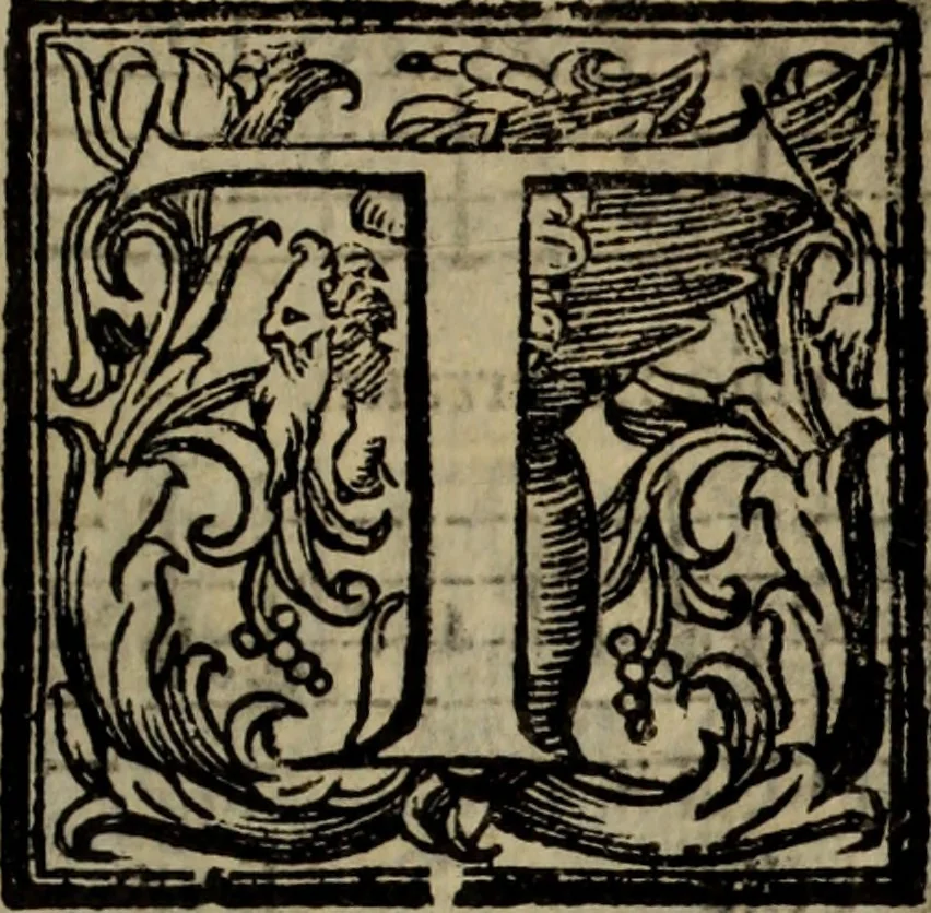 An illustration from Madrigali ... a cinqve voci. Libro primo[-sesto] .., 1611, leaf 372