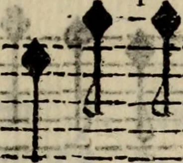 An illustration from Madrigali ... a cinqve voci. Libro primo[-sesto] .., 1611, leaf 384