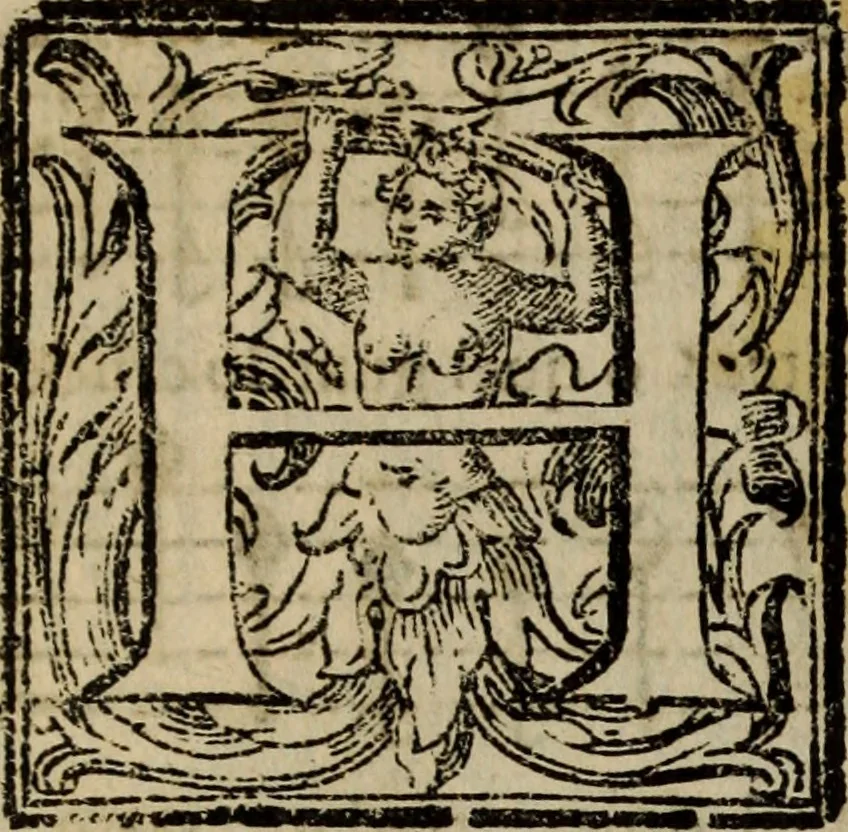 An illustration from Madrigali ... a cinqve voci. Libro primo[-sesto] .., 1611, leaf 399