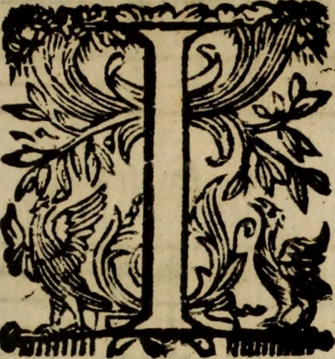 An illustration from Madrigali ... a cinqve voci. Libro primo[-sesto] .., 1611, leaf 442