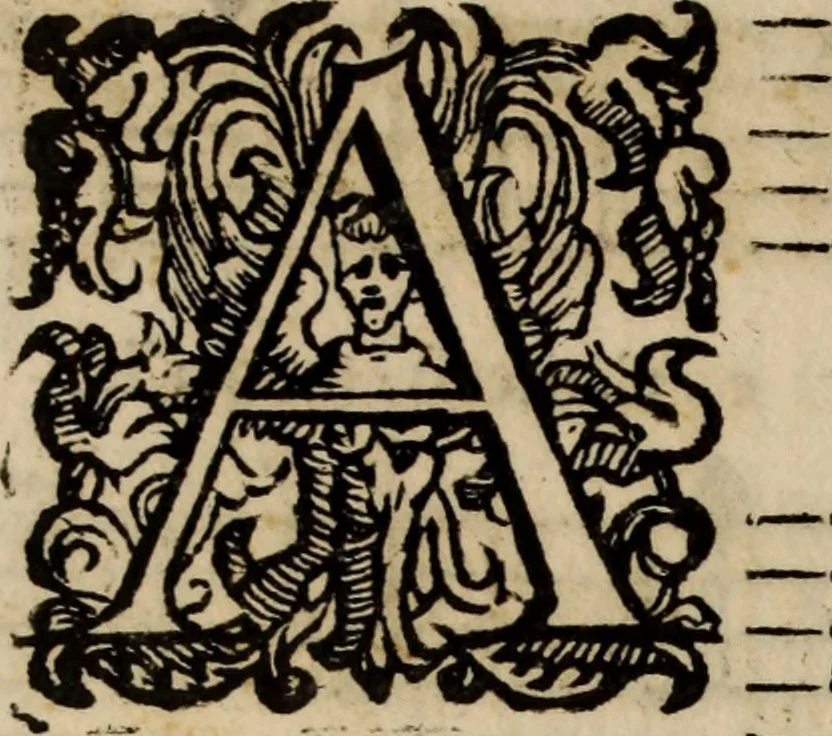 An illustration from Madrigali ... a cinqve voci. Libro primo[-sesto] .., 1611, leaf 443