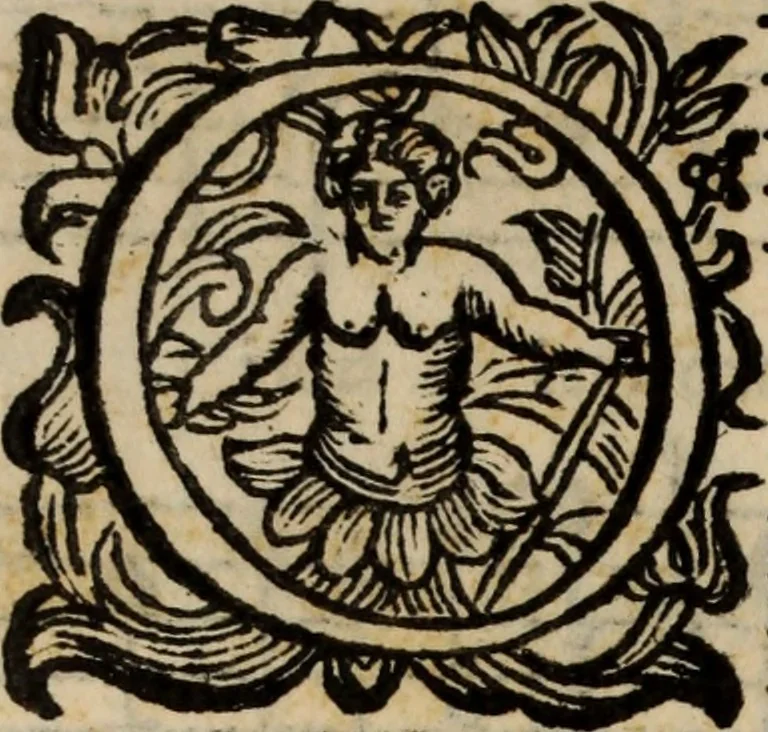 An illustration from Madrigali ... a cinqve voci. Libro primo[-sesto] .., 1611, leaf 451