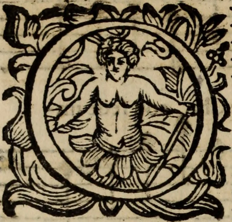 An illustration from Madrigali ... a cinqve voci. Libro primo[-sesto] .., 1611, leaf 455