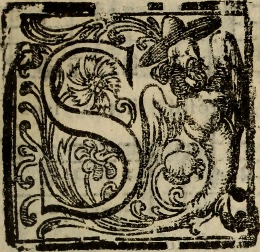 An illustration from Madrigali ... a cinqve voci. Libro primo[-sesto] .., 1611, leaf 52