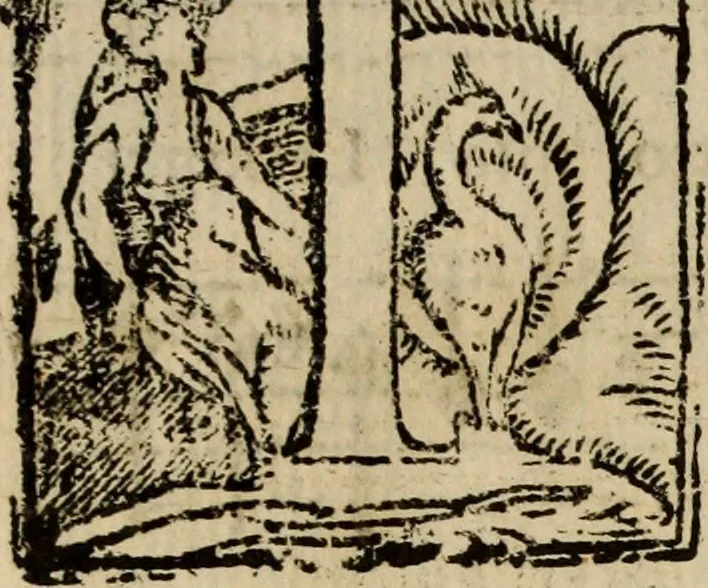 An illustration from Madrigali ... a cinqve voci. Libro primo[-sesto] .., 1611, leaf 69