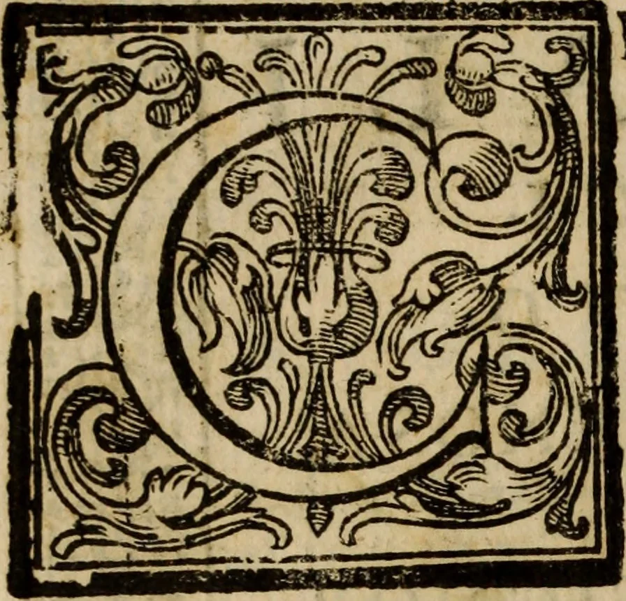 An illustration from Madrigali ... a cinqve voci. Libro primo[-sesto] .., 1611, leaf 89