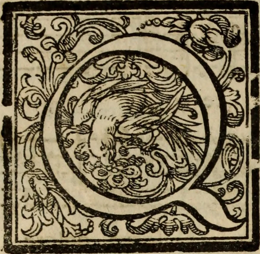 An illustration from Madrigali ... a cinqve voci. Libro primo[-sesto] .., 1611, leaf 95