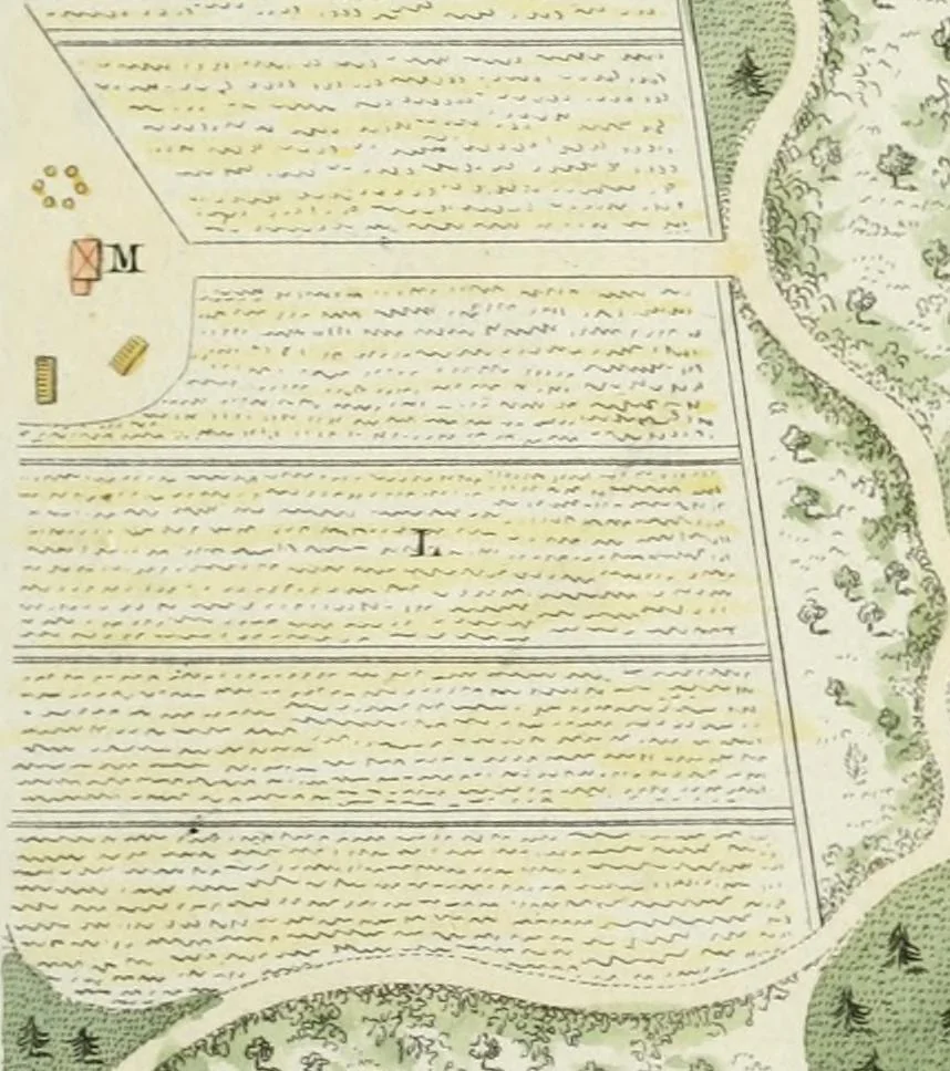 An illustration from Magazijn van tuin-sieraaden, of, Verzameling van modellen van aanleg en sieraad, voor groote en kleine lust-hoven, voorn amelijk van dezulke die, met weinig kosten, te maaken zijn, 1802, leaf 24