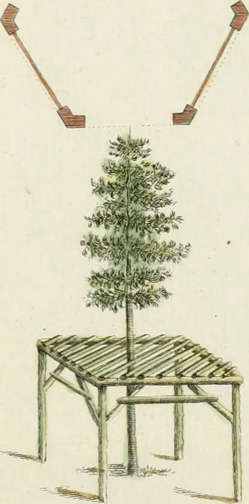 An illustration from Magazijn van tuin-sieraaden, of, Verzameling van modellen van aanleg en sieraad, voor groote en kleine lust-hoven, voorn amelijk van dezulke die, met weinig kosten, te maaken zijn, 1802, leaf 12