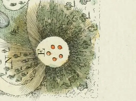 An illustration from Magazijn van tuin-sieraaden, of, Verzameling van modellen van aanleg en sieraad, voor groote en kleine lust-hoven, voorn amelijk van dezulke die, met weinig kosten, te maaken zijn, 1802, leaf 20