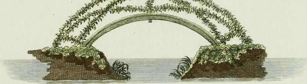 An illustration from Magazijn van tuin-sieraaden, of, Verzameling van modellen van aanleg en sieraad, voor groote en kleine lust-hoven, voorn amelijk van dezulke die, met weinig kosten, te maaken zijn, 1802, leaf 10
