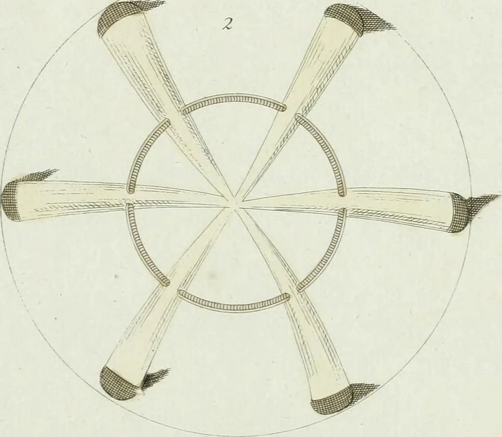 An illustration from Magazijn van tuin-sieraaden, of, Verzameling van modellen van aanleg en sieraad, voor groote en kleine lust-hoven, voorn amelijk van dezulke die, met weinig kosten, te maaken zijn, 1802, leaf 16