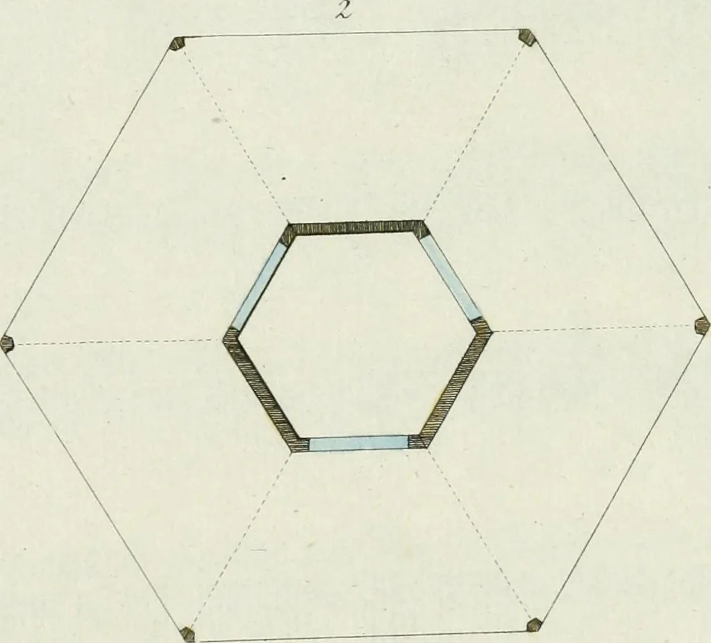 An illustration from Magazijn van tuin-sieraaden, of, Verzameling van modellen van aanleg en sieraad, voor groote en kleine lust-hoven, voorn amelijk van dezulke die, met weinig kosten, te maaken zijn, 1802, leaf 8