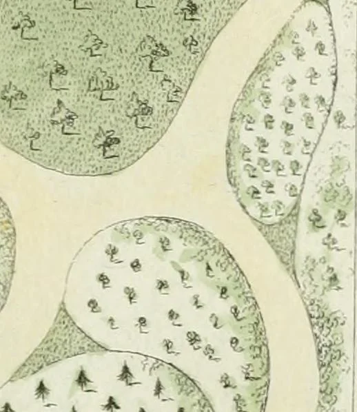 An illustration from Magazijn van tuin-sieraaden, of, Verzameling van modellen van aanleg en sieraad, voor groote en kleine lust-hoven, voorn amelijk van dezulke die, met weinig kosten, te maaken zijn, 1802, leaf 18