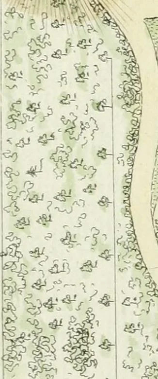 An illustration from Magazijn van tuin-sieraaden, of, Verzameling van modellen van aanleg en sieraad, voor groote en kleine lust-hoven, voorn amelijk van dezulke die, met weinig kosten, te maaken zijn, 1802, leaf 18