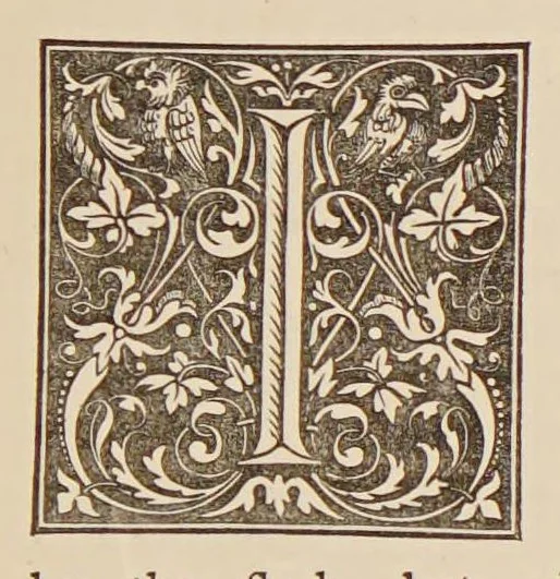 An illustration from The magical writings of Thomas Vaughan (Eugenius Philatethes) : A verbatim reprint of his first four treatises: Anthroposophia theomagica, Anima magica abscondita, Magia adamica, and the true Cœlum terræ, 1888, leaf 41