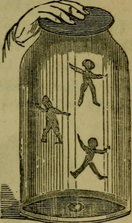 An illustration from The magician's own book, or The whole art of conjuring, 1862, leaf 166