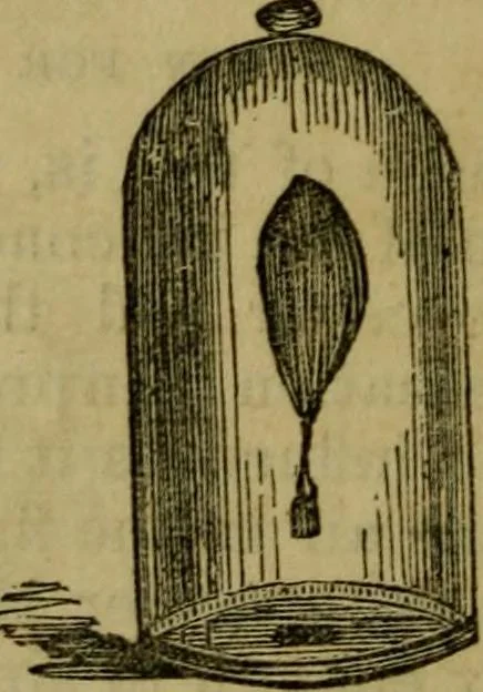 An illustration from The magician's own book, or The whole art of conjuring, 1862, leaf 167
