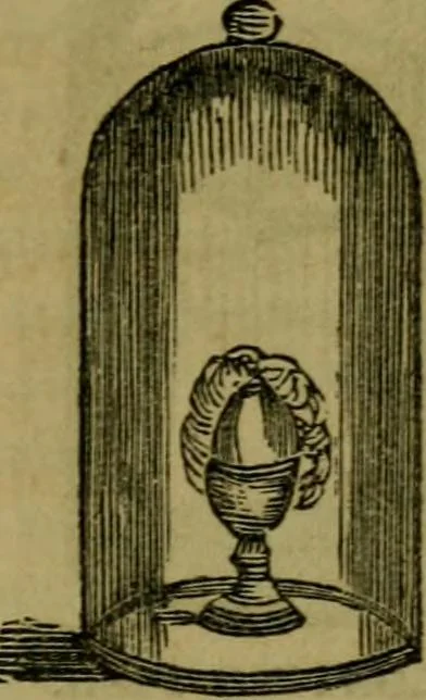 An illustration from The magician's own book, or The whole art of conjuring, 1862, leaf 168