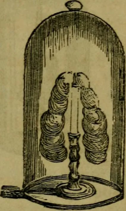 An illustration from The magician's own book, or The whole art of conjuring, 1862, leaf 168