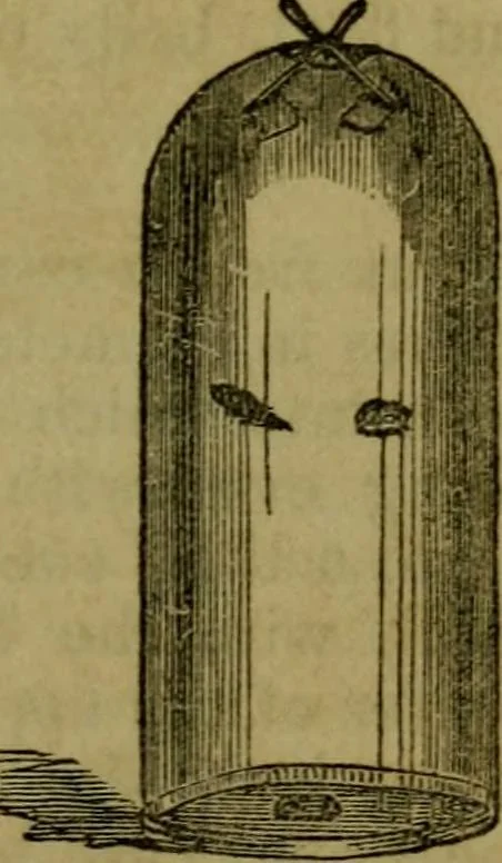 An illustration from The magician's own book, or The whole art of conjuring, 1862, leaf 168