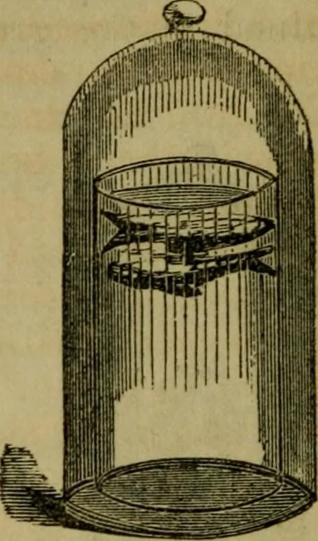 An illustration from The magician's own book, or The whole art of conjuring, 1862, leaf 169