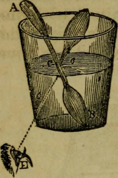 An illustration from The magician's own book, or The whole art of conjuring, 1862, leaf 193