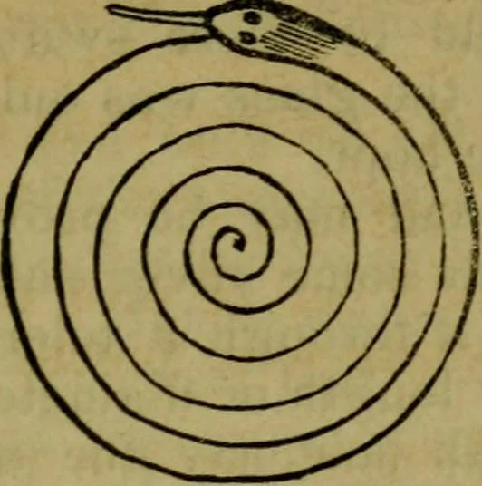 An illustration from The magician's own book, or The whole art of conjuring, 1862, leaf 204