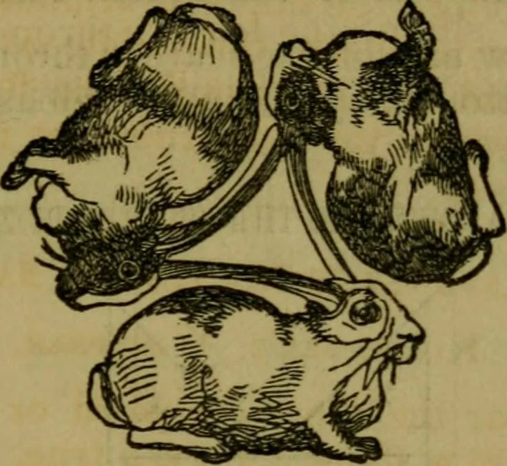 An illustration from The magician's own book, or The whole art of conjuring, 1862, leaf 310
