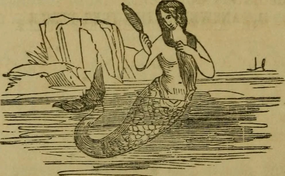 An illustration from The magician's own book, or The whole art of conjuring, 1862, leaf 319
