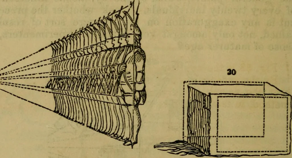 An illustration from The magician's own book, or The whole art of conjuring, 1862, leaf 329