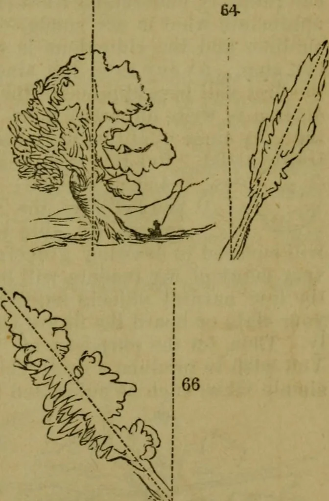 An illustration from The magician's own book, or The whole art of conjuring, 1862, leaf 338