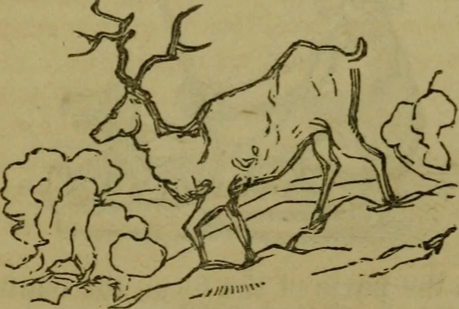 An illustration from The magician's own book, or The whole art of conjuring, 1862, leaf 340