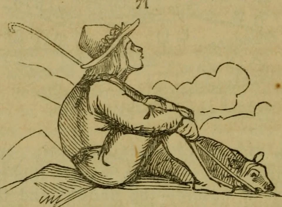 An illustration from The magician's own book, or The whole art of conjuring, 1862, leaf 341