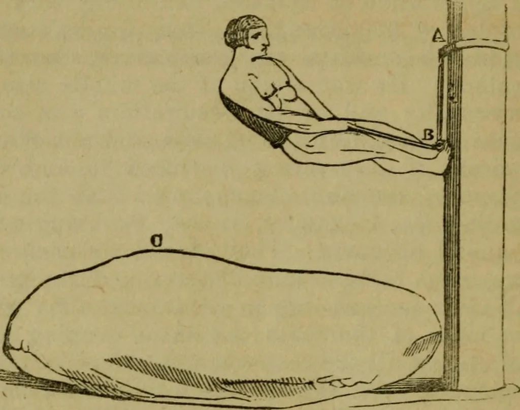 An illustration from The magician's own book, or The whole art of conjuring, 1862, leaf 353