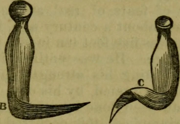An illustration from The magician's own book, or The whole art of conjuring, 1862, leaf 356