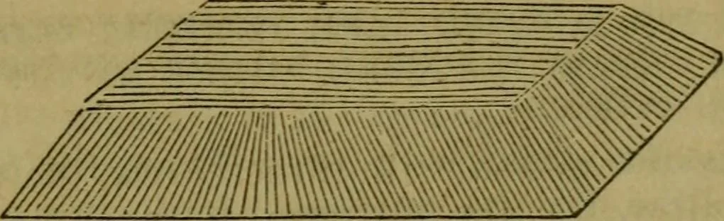 An illustration from The magician's own book, or The whole art of conjuring, 1862, leaf 368