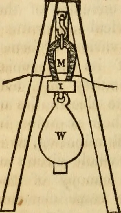 An illustration from Magic, pretended miracles, and remarkable natural phenomena, 1855, leaf 139