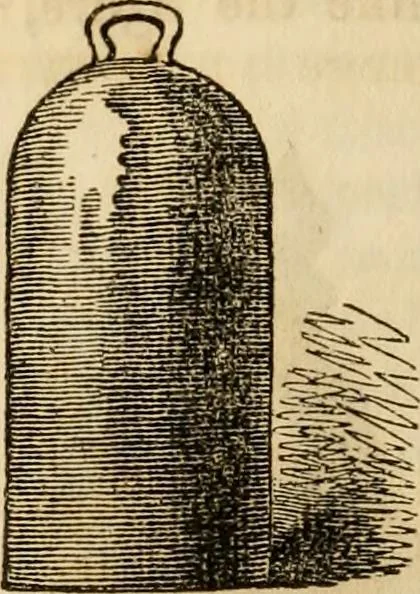 An illustration from Magic, pretended miracles, and remarkable natural phenomena, 1855, leaf 19