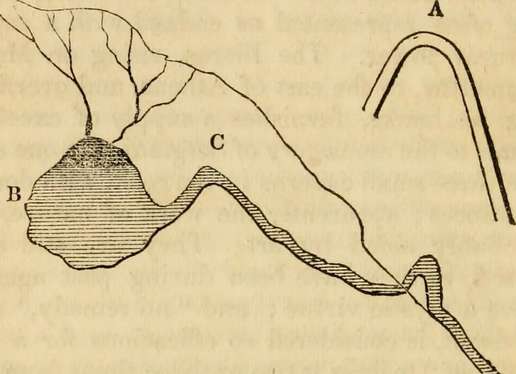 An illustration from Magic, pretended miracles, and remarkable natural phenomena, 1855, leaf 65