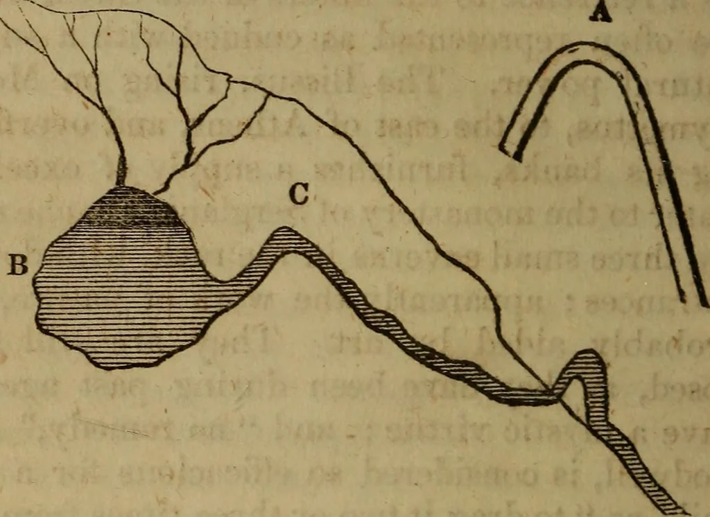 An illustration from Magic, pretended miracles, and remarkable natural phenomena, 1855, leaf 63