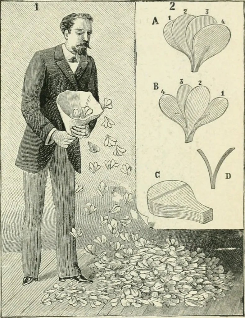 An illustration from Magic; stage illusions and scientific diversions, including trick photography, 1897, leaf 124