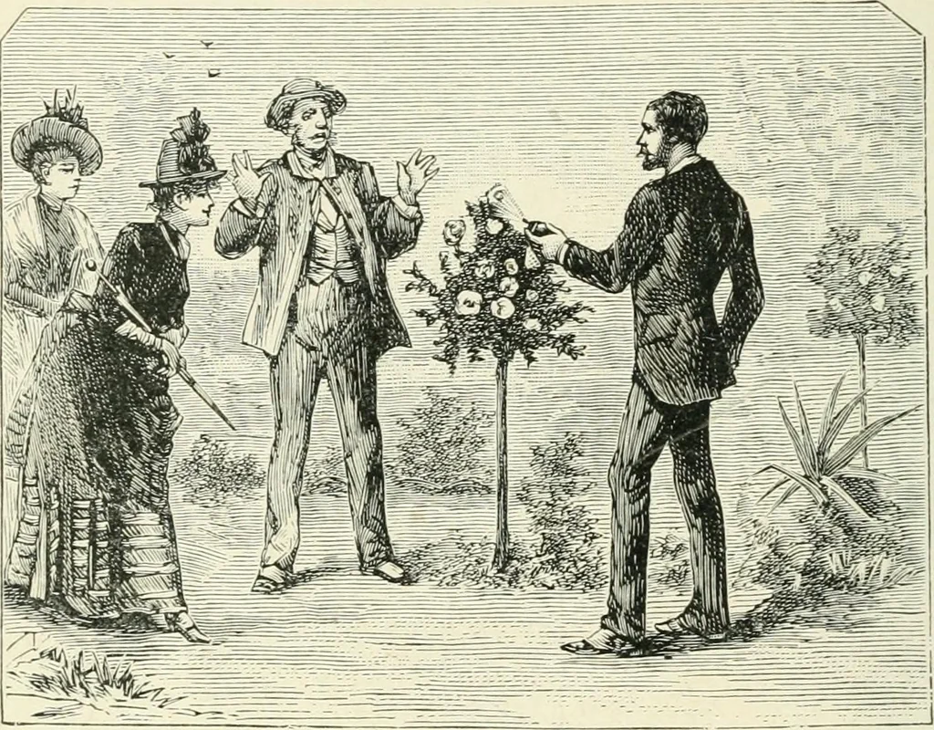 An illustration from Magic; stage illusions and scientific diversions, including trick photography, 1897, leaf 125
